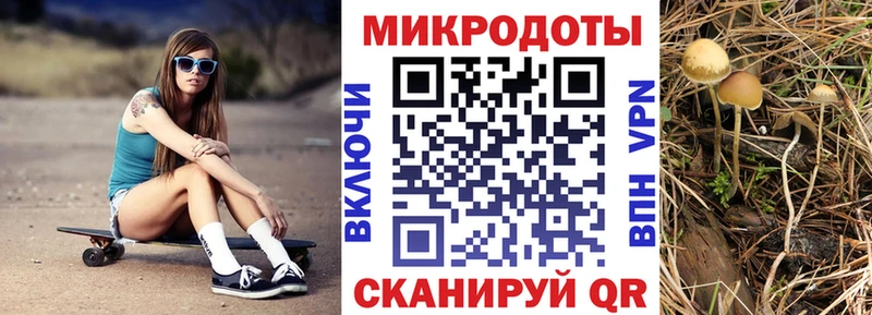 Псилоцибиновые грибы мицелий  продажа наркотиков  Оханск 